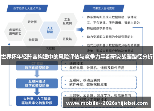 世界杯年轻阵容构建中的风险评估与竞争力平衡研究战略路径分析